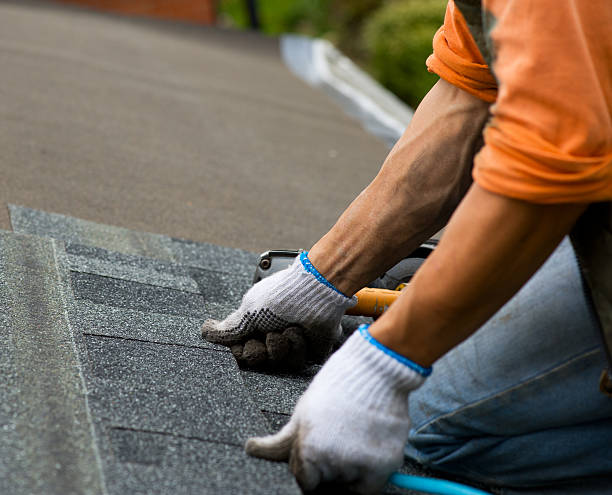 Best Roof Gutter Cleaning  in Enosburg Falls, VT